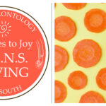 52 ODES TO JOY: S.U.N.S. GIVING