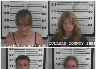 CCSO makes multiple arrests over holiday weekend