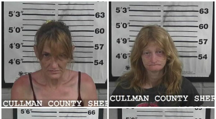 CCSO makes multiple arrests over holiday weekend