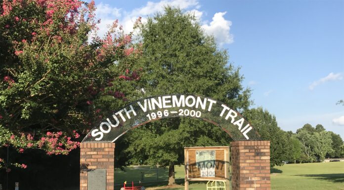 Vinemont council talks community projects