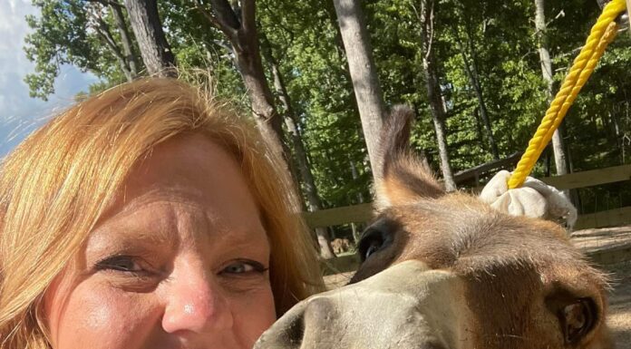 ‘There’s so much to learn from an animal’