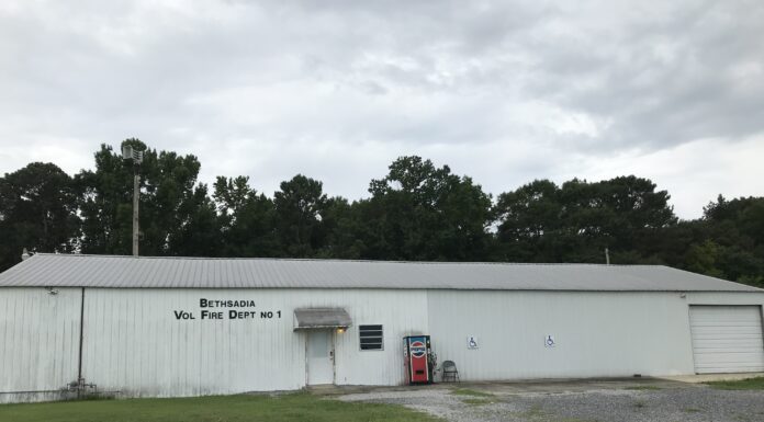 BLS Health Care Provider certification class offered at Bethsadia VFD July 23