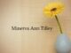 Obituary: Minerva Ann Tilley