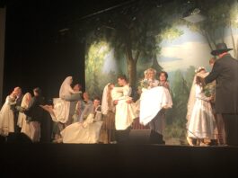 ‘Seven Brides for Seven Brothers’ thrills in local production
