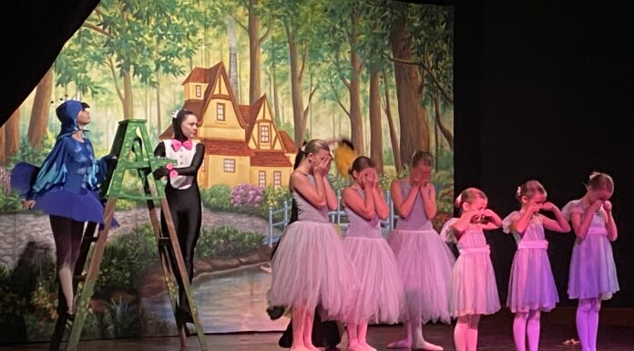 ‘Peter and the Wolf’ a hit