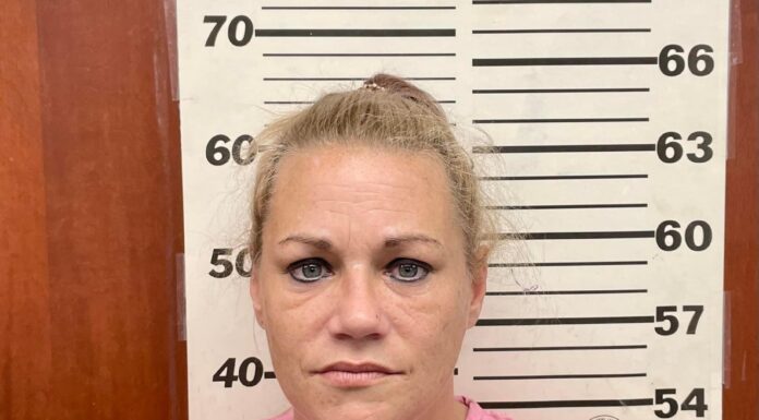 Dog attacks police officer; Hanceville woman arrested