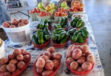 Farmers share bounties through local gleaning program