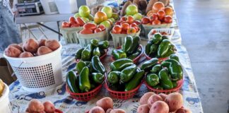 Farmers share bounties through local gleaning program