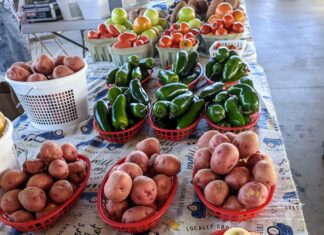 Farmers share bounties through local gleaning program