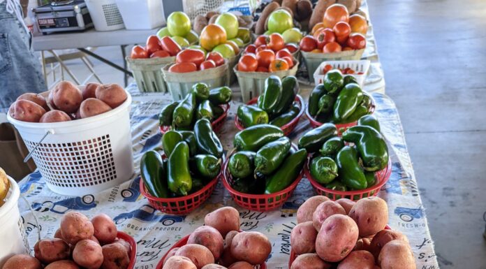 Farmers share bounties through local gleaning program