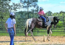 Pair O’ Docs Horse Farm hosting summer camp