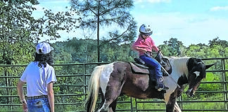 Pair O’ Docs Horse Farm hosting summer camp