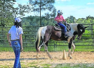 Pair O’ Docs Horse Farm hosting summer camp