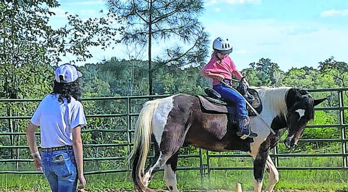 Pair O’ Docs Horse Farm hosting summer camp