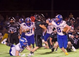 PREP FOOTBALL: Cold Springs topples Holly Pond on the road 29-14