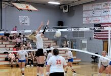 PREP VOLLEYBALL: Vinemont’s Young, Hoffman excited for senior seasons