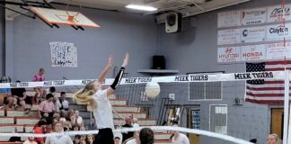 PREP VOLLEYBALL: Vinemont’s Young, Hoffman excited for senior seasons