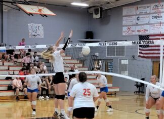 PREP VOLLEYBALL: Vinemont’s Young, Hoffman excited for senior seasons