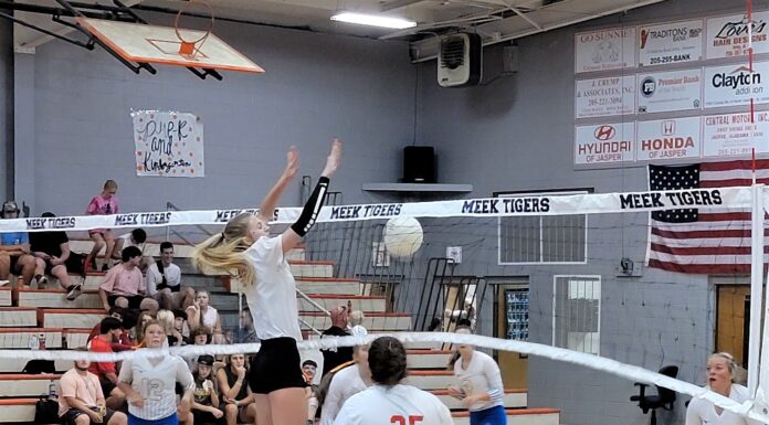 PREP VOLLEYBALL: Vinemont’s Young, Hoffman excited for senior seasons