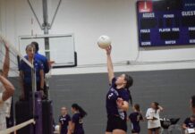 PREP VOLLEYBALL: Lady Aggies sweep Cold Springs, Hanceville at home