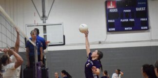 PREP VOLLEYBALL: Lady Aggies sweep Cold Springs, Hanceville at home