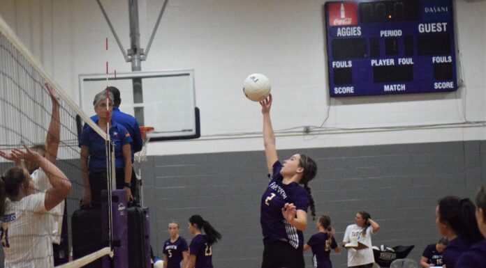 PREP VOLLEYBALL: Lady Aggies sweep Cold Springs, Hanceville at home