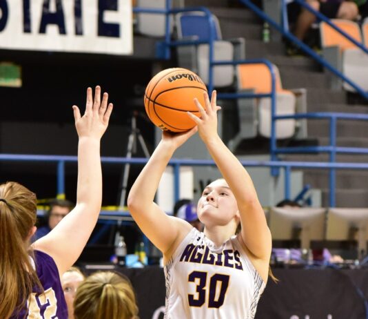 ‘Enjoy every moment’: Fairview’s Emma Garcia ready for senior season