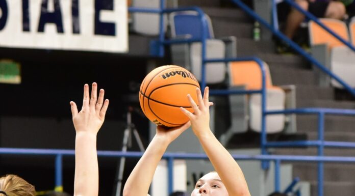 ‘Enjoy every moment’: Fairview’s Emma Garcia ready for senior season