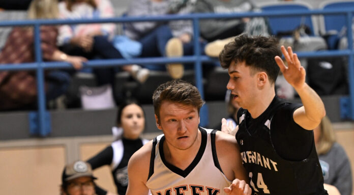 ‘Meek allowed me to be myself’: Ephram Milne remembers his time as a Tiger