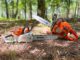 Battery-powered chainsaws: Quiet but dangerous