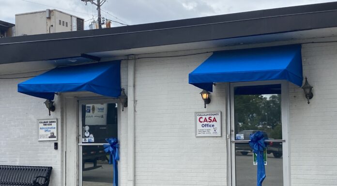 CASA volunteer training this September (Updated)