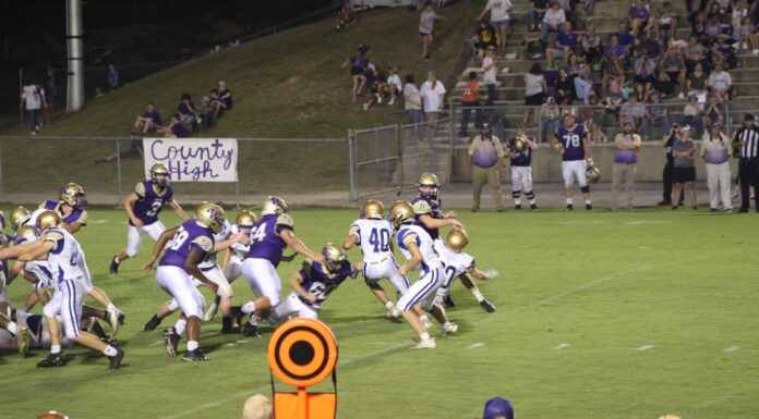 PREP FOOTBALL: Addison falls in season opener at Winston County 29-8