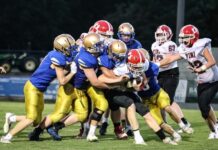 PREP FOOTBALL: Addison hammers Vina at home 69-0