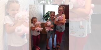 Victim Services collecting stuffed animals for children in crisis