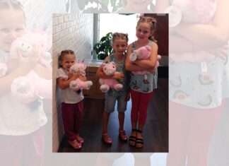 Victim Services collecting stuffed animals for children in crisis