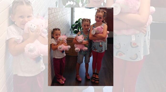 Victim Services collecting stuffed animals for children in crisis