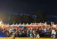 Rock the South survival guide