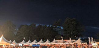 Rock the South survival guide