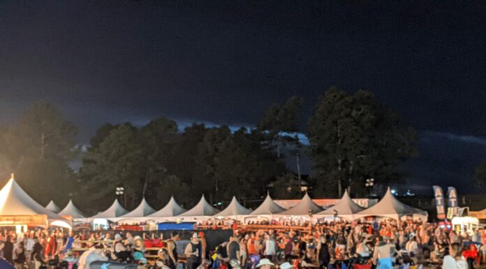 Rock the South survival guide