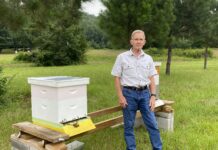 ‘Bees are just fascinating’