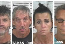 CCSO arrest roundup