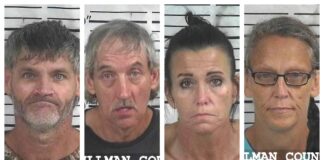 CCSO arrest roundup