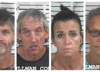 CCSO arrest roundup