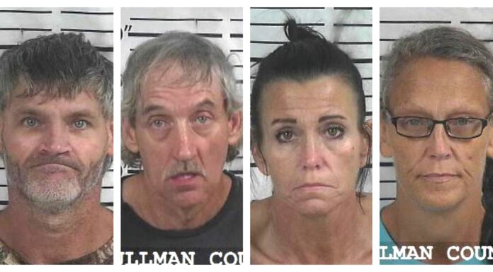 CCSO arrest roundup