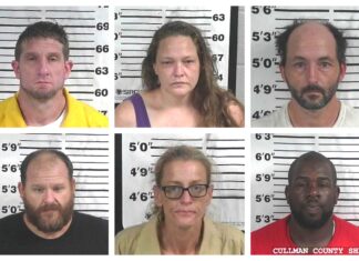 CCSO arrest roundup