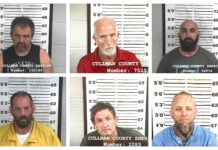 CCSO arrest roundup