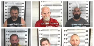CCSO arrest roundup