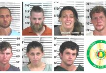 CCSO makes multiple arrests