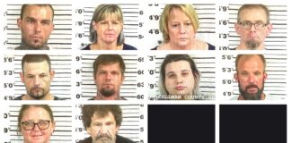 CCSO arrest roundup