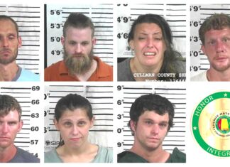 CCSO makes multiple arrests
